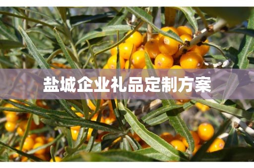 盐城企业礼品定制方案