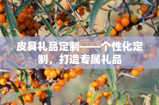 皮具礼品定制——个性化定制，打造专属礼品